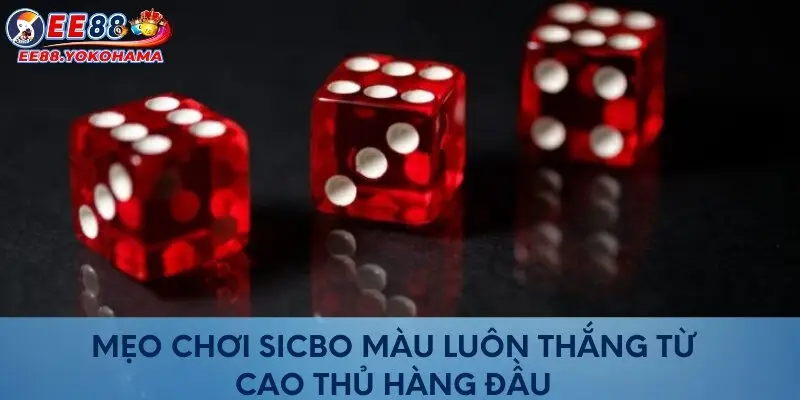Mẹo chơi Sicbo màu luôn thắng từ cao thủ hàng đầu