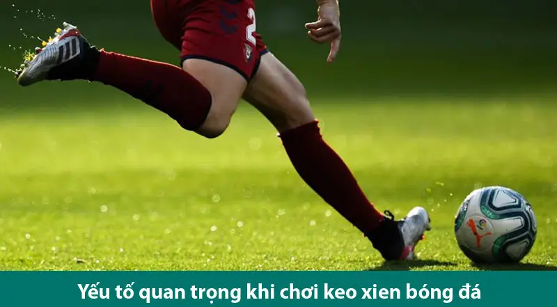 Hướng dẫn cách tính tiền kèo xiên bóng đá dễ hiểu nhất cho cược thủ